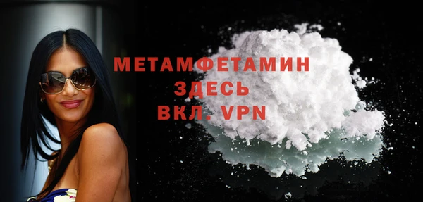 прущие грибы Богданович