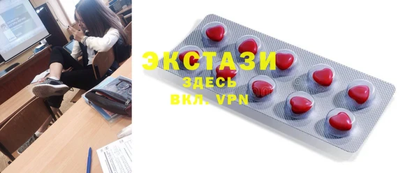 индика Богородицк