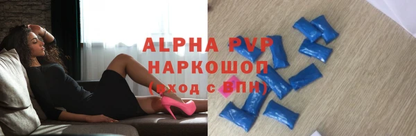 индика Богородицк
