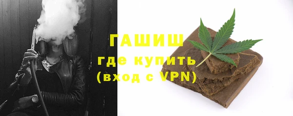 индика Богородицк