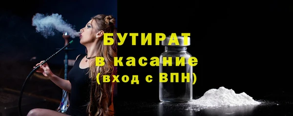 индика Богородицк