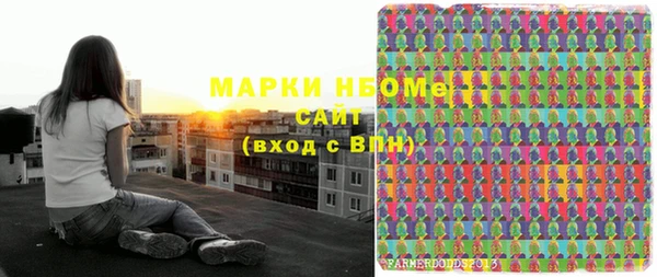 индика Богородицк