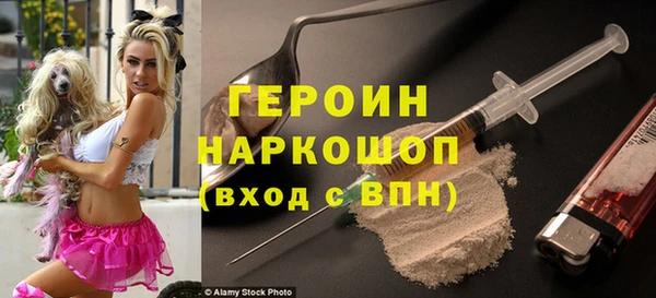 прущие грибы Богданович
