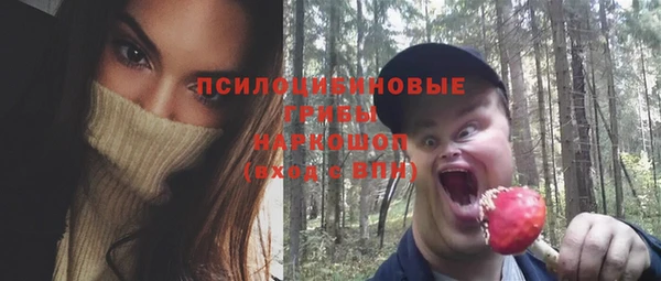 индика Богородицк