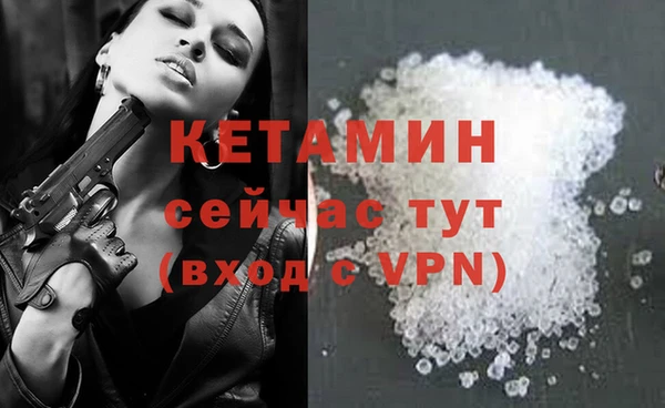 прущие грибы Богданович
