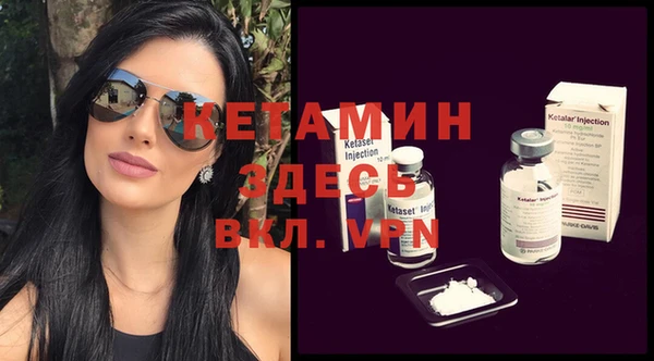 индика Богородицк