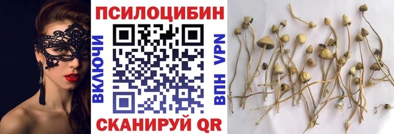 Галлюциногенные грибы Cubensis  даркнет формула  Наро-Фоминск  кракен  